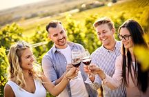 Casablanca world class wines, 4 vineyards & Tanino lunch stop