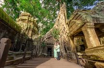 Full-Day Angkor Wat & All Must-See with Banteay Srei Private Tour