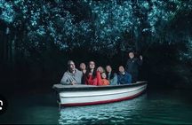 Hobbiton and Waitomo Caves Arrive in Comfort and Style