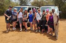 Nairobi National Park, Elephant Orphanage and Giraffe Center Tour