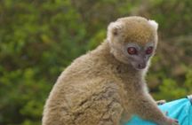 Day Tour from Tana: to Mantasoa Lake & Nosy soa Park