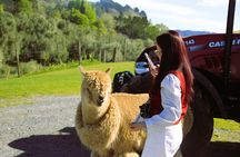 Mount Cook & Lake Tekapo 2-Day Stargazing tour from Christchurch