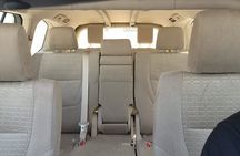 Premium Desert Safari Sharing Transfer with 5* Unlimited Buffet 