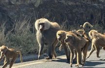 .2- Days and 1 Night Tour To Awash National Park water falls 
