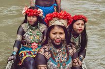 Embera Village and Hidden Waterfall Charges River Tour 