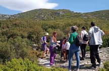 Natural History Guided Tour Cave & Nature of Petralona Halkidiki
