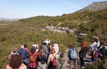 Natural History Guided Tour Cave & Nature of Petralona Halkidiki