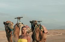 From Ouarzazate: 2 Days - 1 night Zagora Desert back to Marrakech