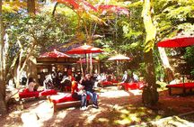  Private Historic Road Hike in the Healing Forest of Arima