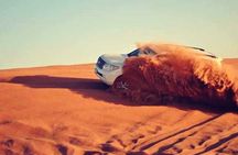 Dubai Lahbab Desert safari with BBQ Dinner