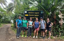 Night Adventure, Canoe and Trail in Tortuguero
