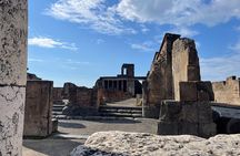 From Sorrento Pompeii tour with Wine and Olive oil tasting