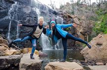 Grampians National Park with MacKenzie Falls and Kangaroos