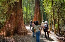 Mt Field National Park and Russell Falls with Bonorong Wildlife