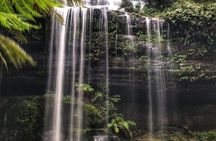 Mt Field National Park and Russell Falls with Bonorong Wildlife