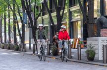 3hr Private E-bike Tours in Tokyo, Starting at your hotel