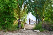Glamp Camp Adventures - Sierra de la Laguna Mountain Ranch