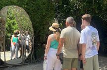  Private VW Beetle Tour Swim with Turtles, Visit Tulum Ruins&Town