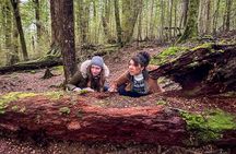 Full Day Lord of the Rings Mavora Lakes Adventure!
