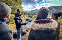 Private Full Day Lord of the Rings Mavora Lakes Adventure!