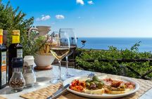 Wine & Food Tasting in Villarena