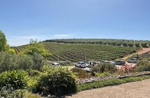 Full Day Tour to Wine Estates Stellenbosch, Franschhoek and Paarl
