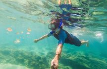 Orange Bay Island trip with Snorkeling and lunch 