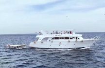 Private Red Sea from Cairo Yacht Tour and fishing in Red Sea 