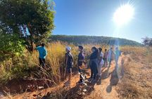 Mulube Adventure in Lusaka Zambia