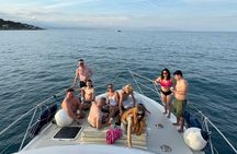Full Day Luxury Boat Tour in French Riviera - New 2025!