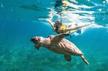 Cancun Adventure: Reef Snorkeling & Parasailing Experience