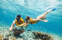Cancun Adventure: Reef Snorkeling & Parasailing Experience