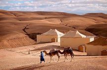Agafay Desert Quad & Camel Rides, Ourika Valley & Dinner Show