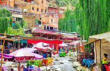 Agafay Desert Quad & Camel Rides, Ourika Valley & Dinner Show