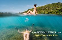 Phong Nha & Paradise Cave - 1 Day All Inclusive