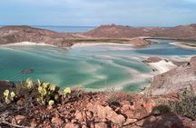 #1 Beach in La Paz BALANDRA Swim w/ Sea Lions and Beach Lunch 