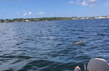 Private Dolphin Catamaran Sail In Cocoa Beach