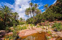 Half Day Paradise Valley Trip with Lunch