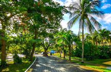Playa Del Carmen’s Historical Treasures: A Walking Tour