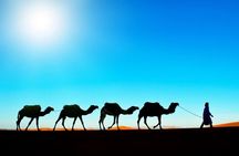 5-Days Private Desert Tour from Marrakech to Agadir or Taghazout
