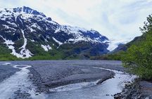 Exit Glacier Nature Hike in Seward