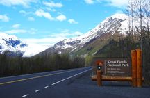Exit Glacier Nature Hike in Seward