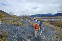 Exit Glacier Nature Hike in Seward