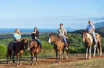 Horseback Ride Like an Authentic Paniolo in Kahuku