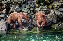 4 hours Haines Chilkoot Wilderness and Wildlife Tour