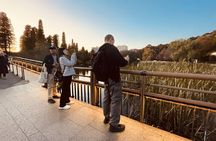Tokyo Kichijoji Twilight: Explore Instagram-Worthy Hidden Spots 
