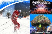 Jisan Forest Ski Resort and Everland 1 Day Tour