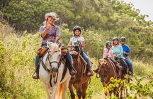Horseback Ride Like an Authentic Paniolo in Kahuku