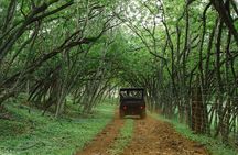 Private Off Road Explorer's Tour