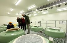 Sake Brewery Private Tour in Nagano 